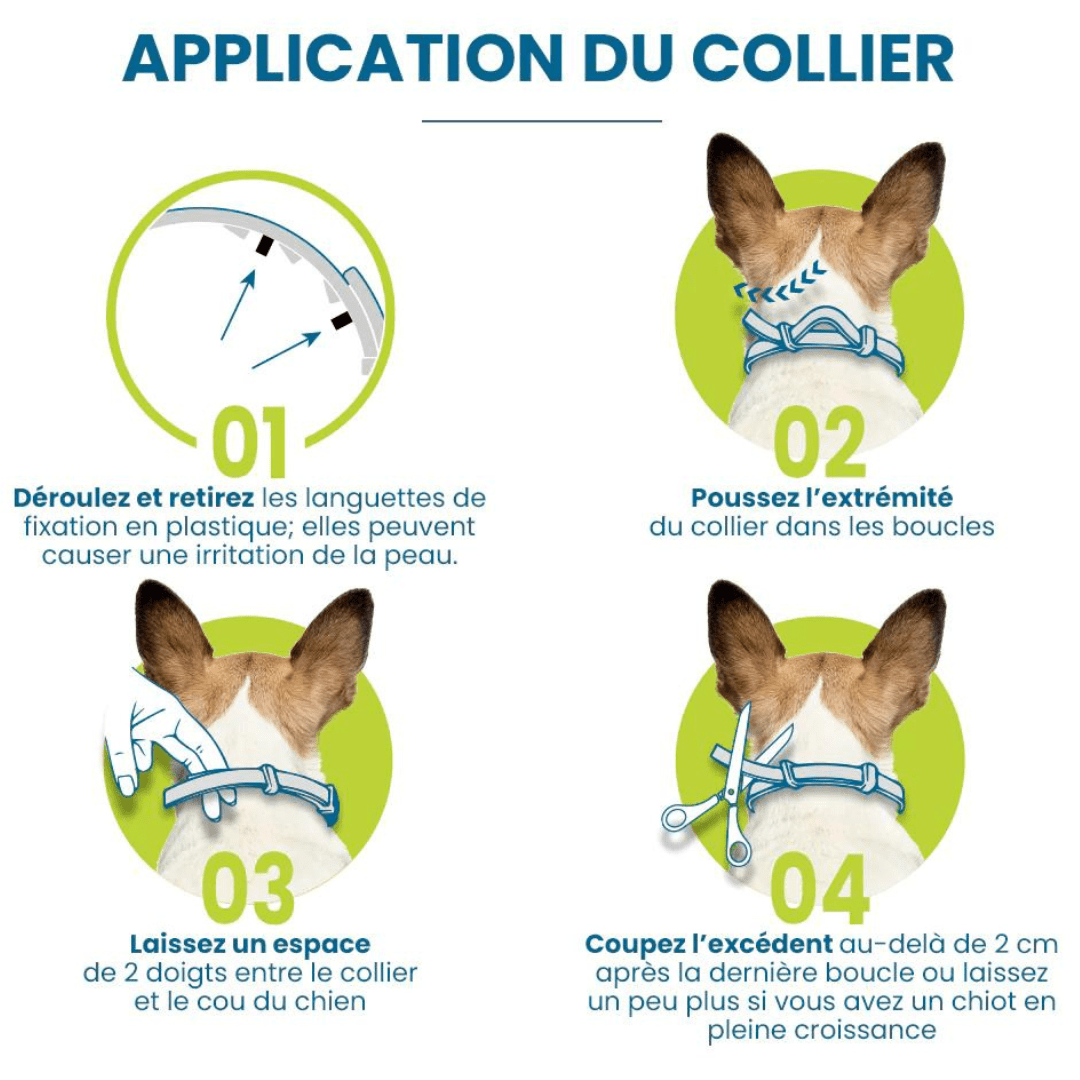 Natural Flea and Tick Collar for Dogs and Cats Pest Protection