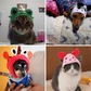 Animal Shaped Cat Hat Cute Pet Costume Accessory