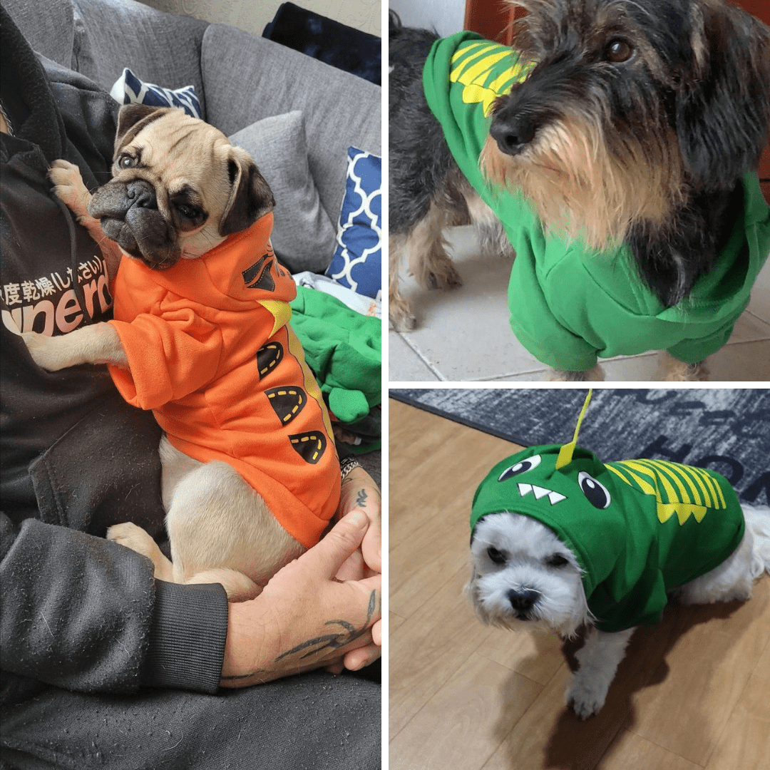 Dog Sweater Waterproof Warm Pet Clothes for Small to Large Dogs