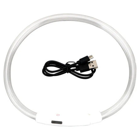 LED Dog Collar Safe Visible Light Up Pet Collar for Night Walks