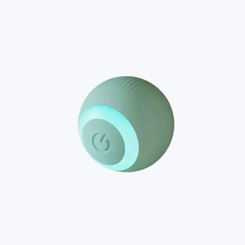 Interactive Cat Ball Toy