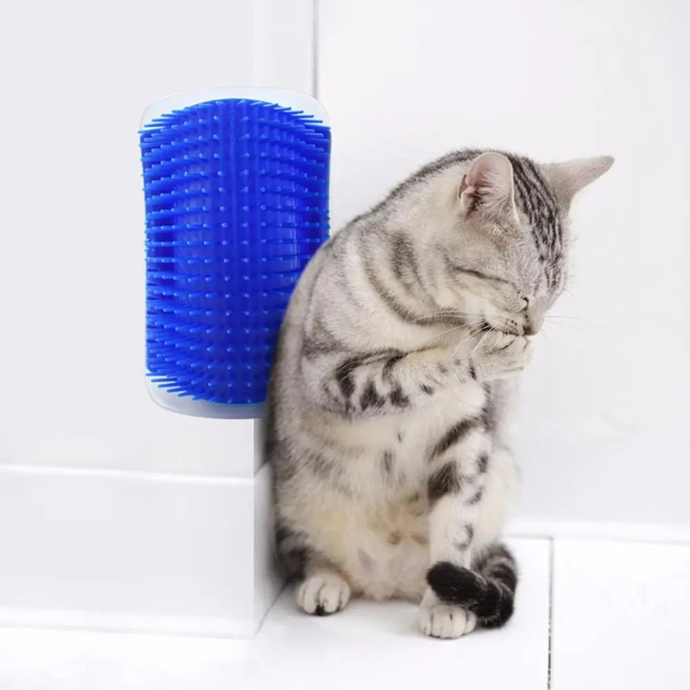 Cat Wall Brush Grooming Tool for Cats and Pets Hair Removal