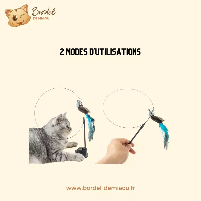 Feather Cat Toy Interactive Teaser for Cats