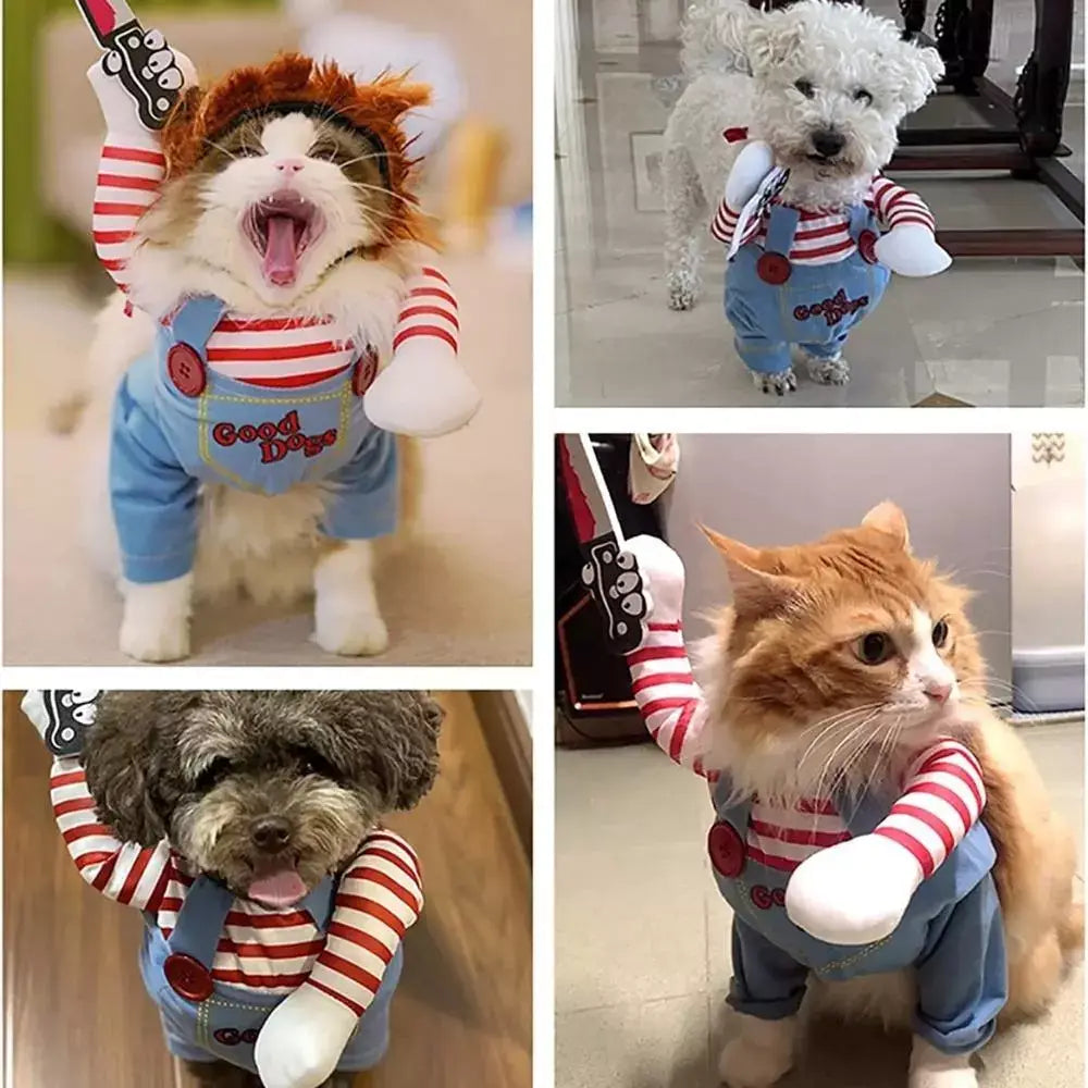 Chucky Halloween Cat Costume for Kids and Adults
