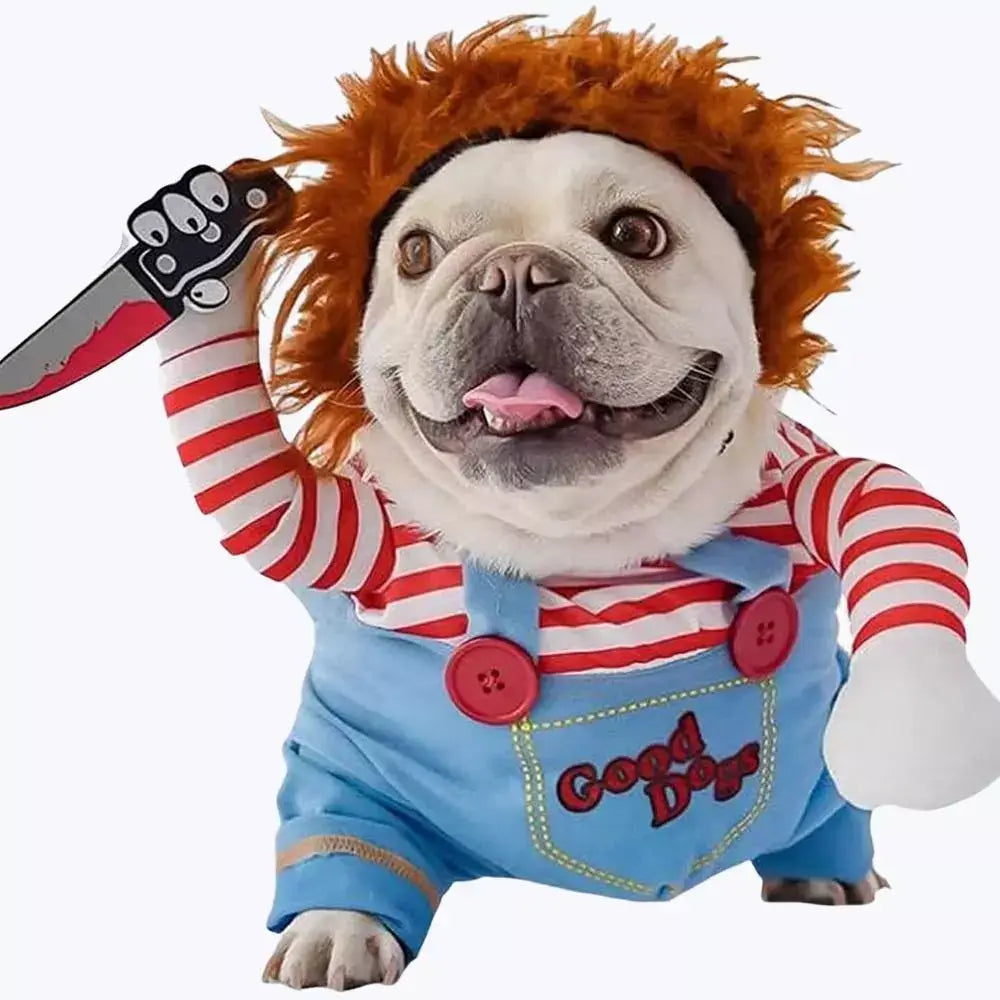 Chucky Halloween Cat Costume for Kids and Adults