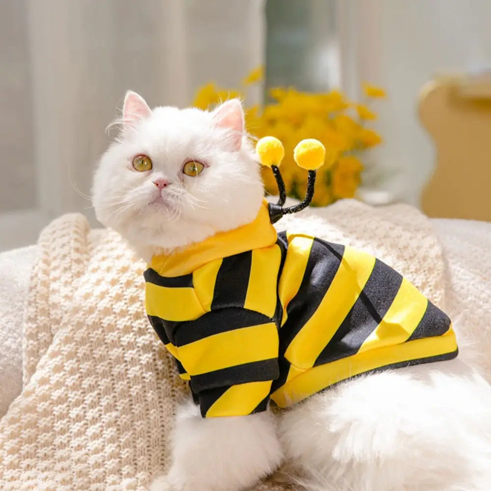 Cute Cat Hoodie Costume for Kids and Adults Adorable Animal Onesie Pajamas