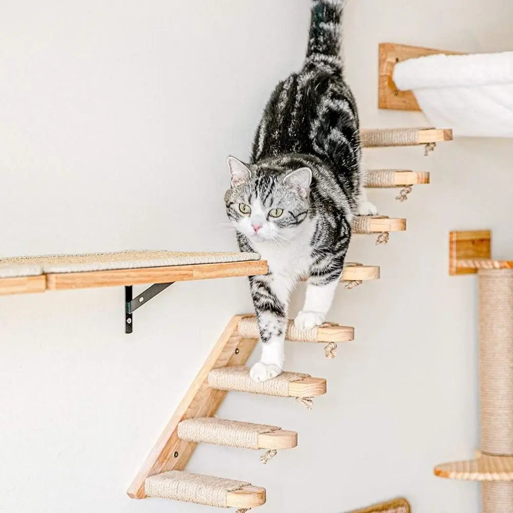 Cat Staircase Pet Steps for Cats and Small Pets Easy Access Step Ladder