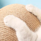 Cat Scratching Ball Toy Interactive Play for Cats