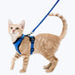 Escape Proof Cat Harness Adjustable No Escape Kitty Harness for Outdoor Safety