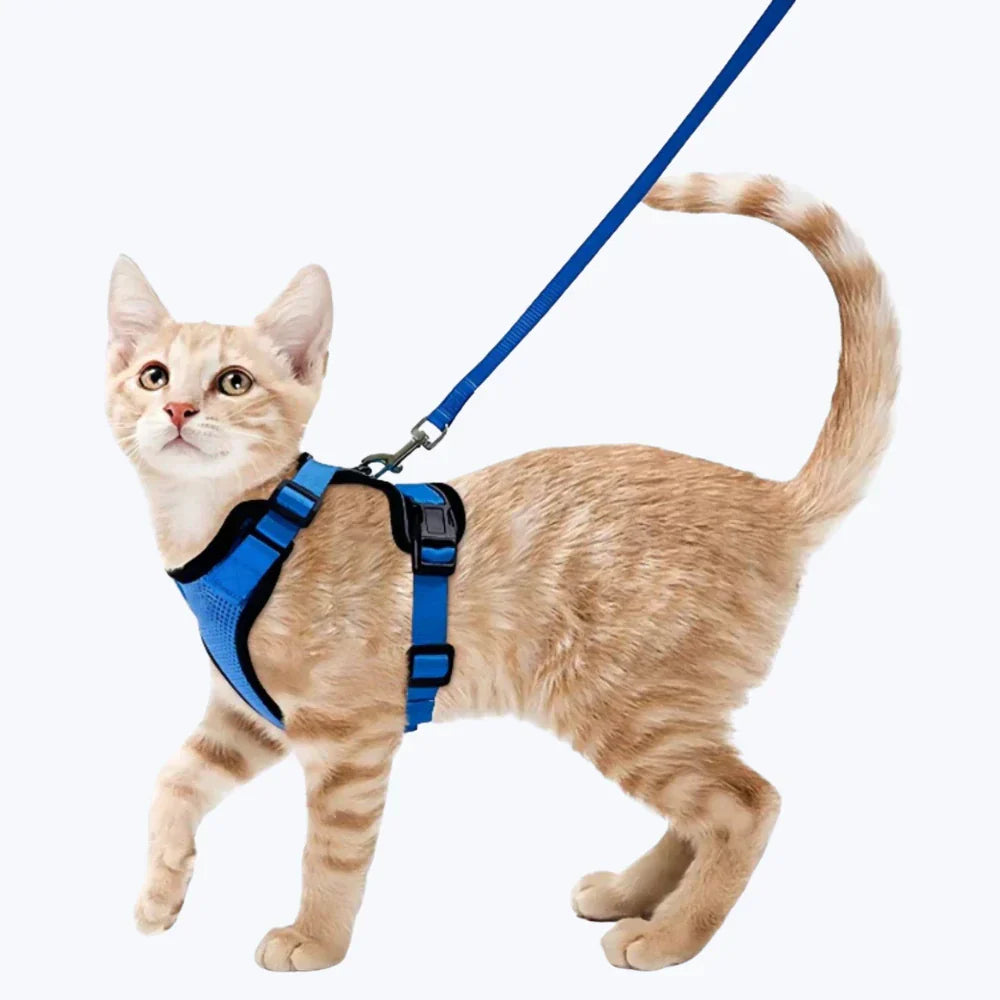 Escape Proof Cat Harness Adjustable No Escape Kitty Harness for Outdoor Safety