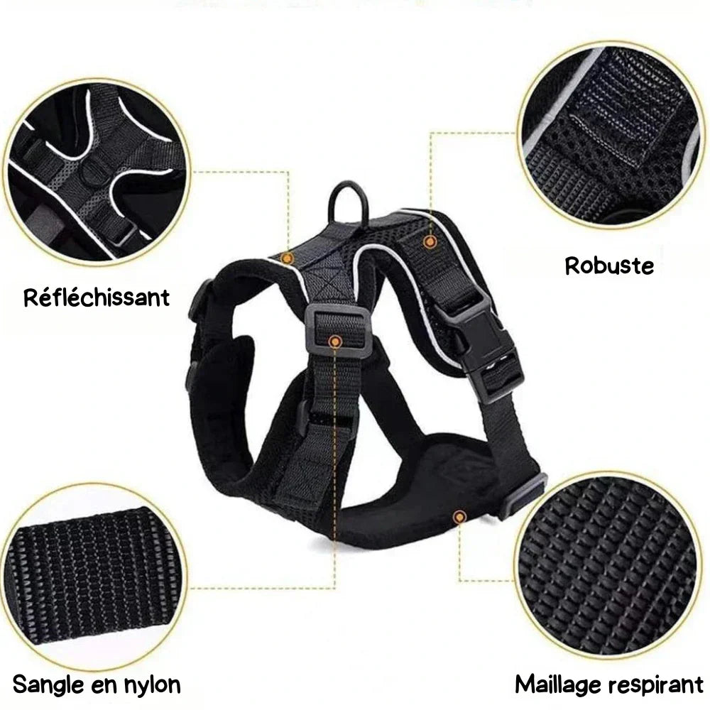 Escape Proof Cat Harness Adjustable No Escape Kitty Harness for Outdoor Safety