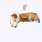 Plush Furry Dog Sofa Soft Pet Couch Bed
