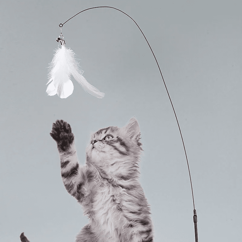 Cat Fishing Rod Toy with Suction Cup for Interactive Play