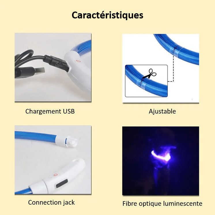 LED Dog Collar Safe Visible Light Up Pet Collar for Night Walks