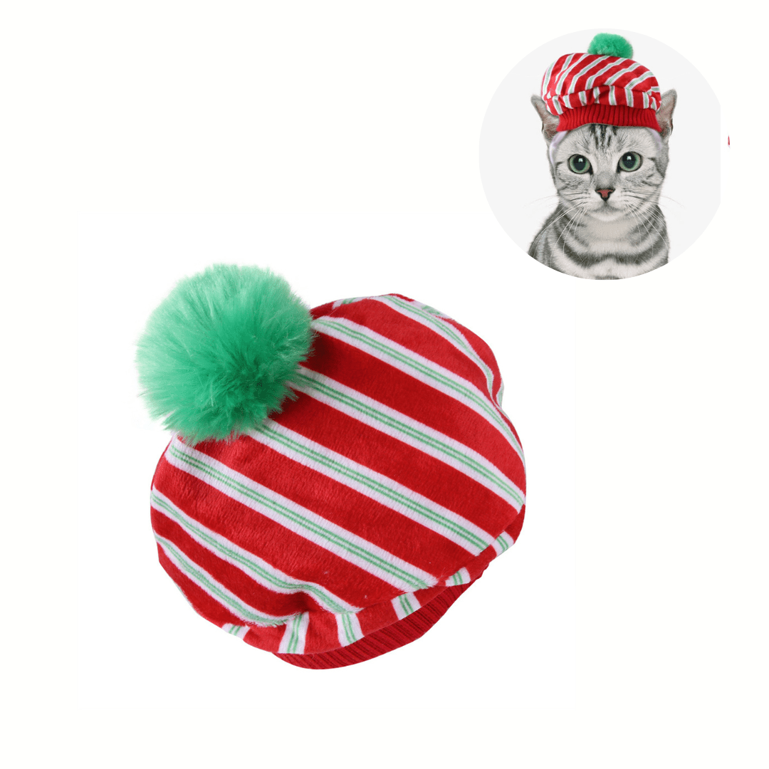 Cat Head Costume Hat for Cats Pet Halloween Dress Up Accessory