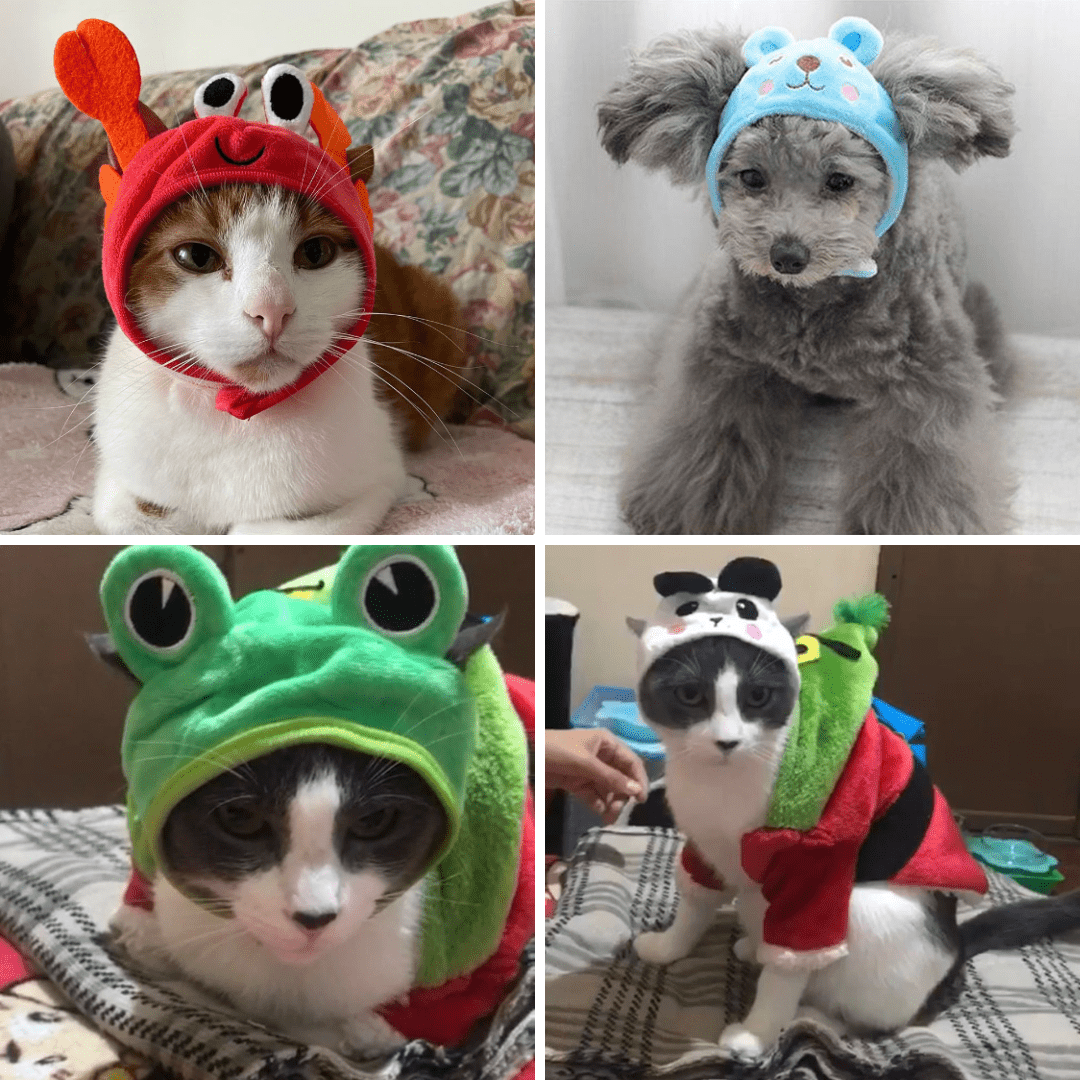 Animal Shaped Cat Hat Cute Pet Costume Accessory