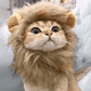 Cat Costume Lion Mane Wig Pet Halloween Outfit for Cats