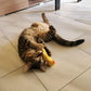 Mini Plush Cat Toys Soft Small Stuffed Animals for Cats Kitten Play