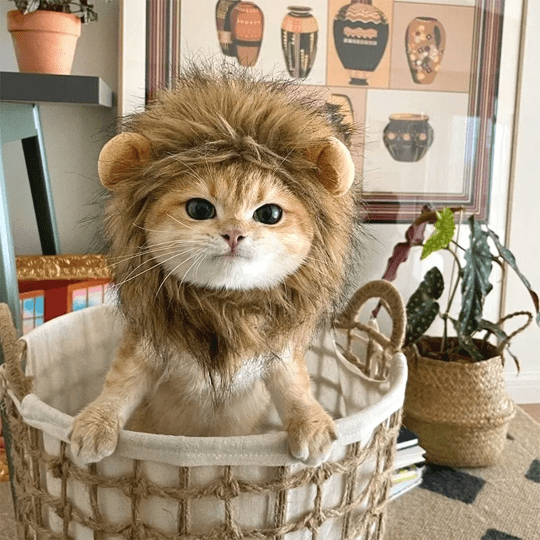 Cat Costume Lion Mane Wig Pet Halloween Outfit for Cats