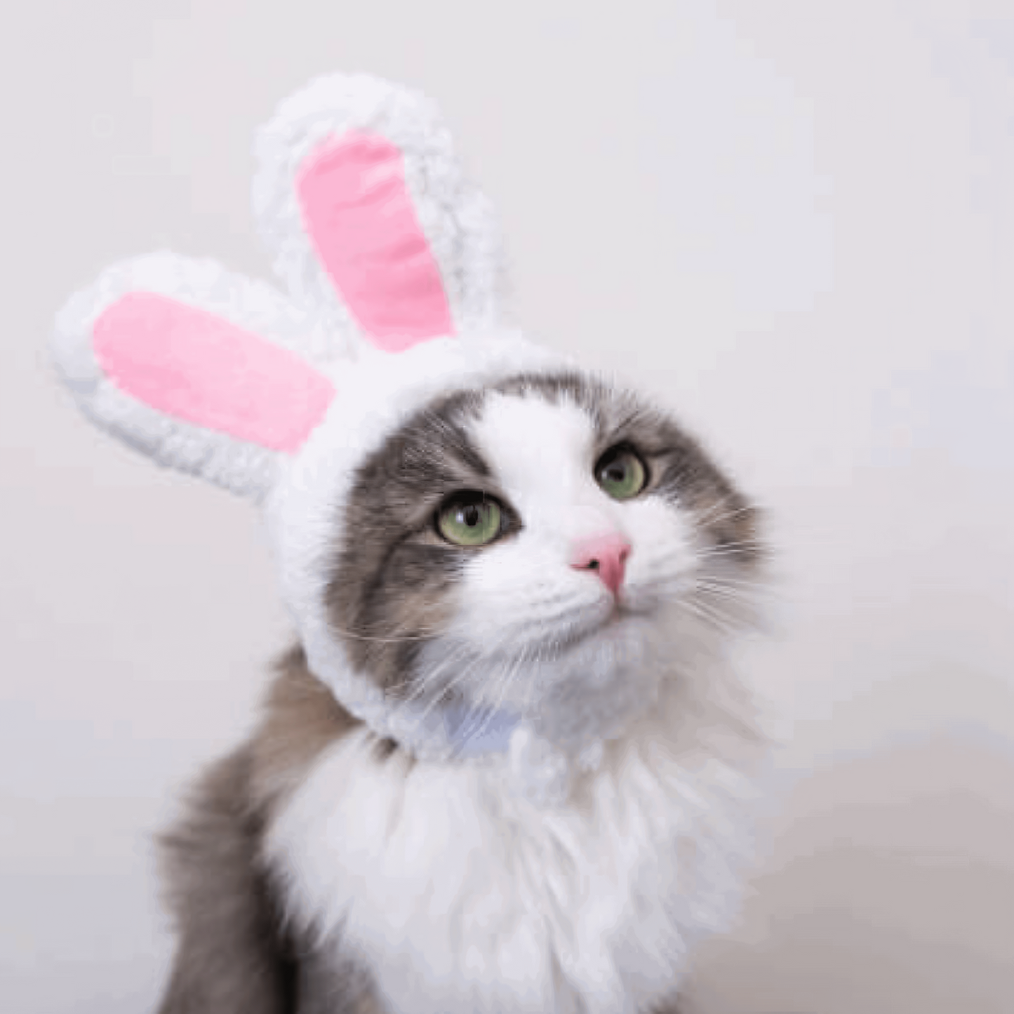 Cat Head Costume Hat for Cats Pet Halloween Dress Up Accessory
