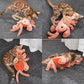 Interactive Pet Toy Crawfish Chew Toy for Dogs and Cats