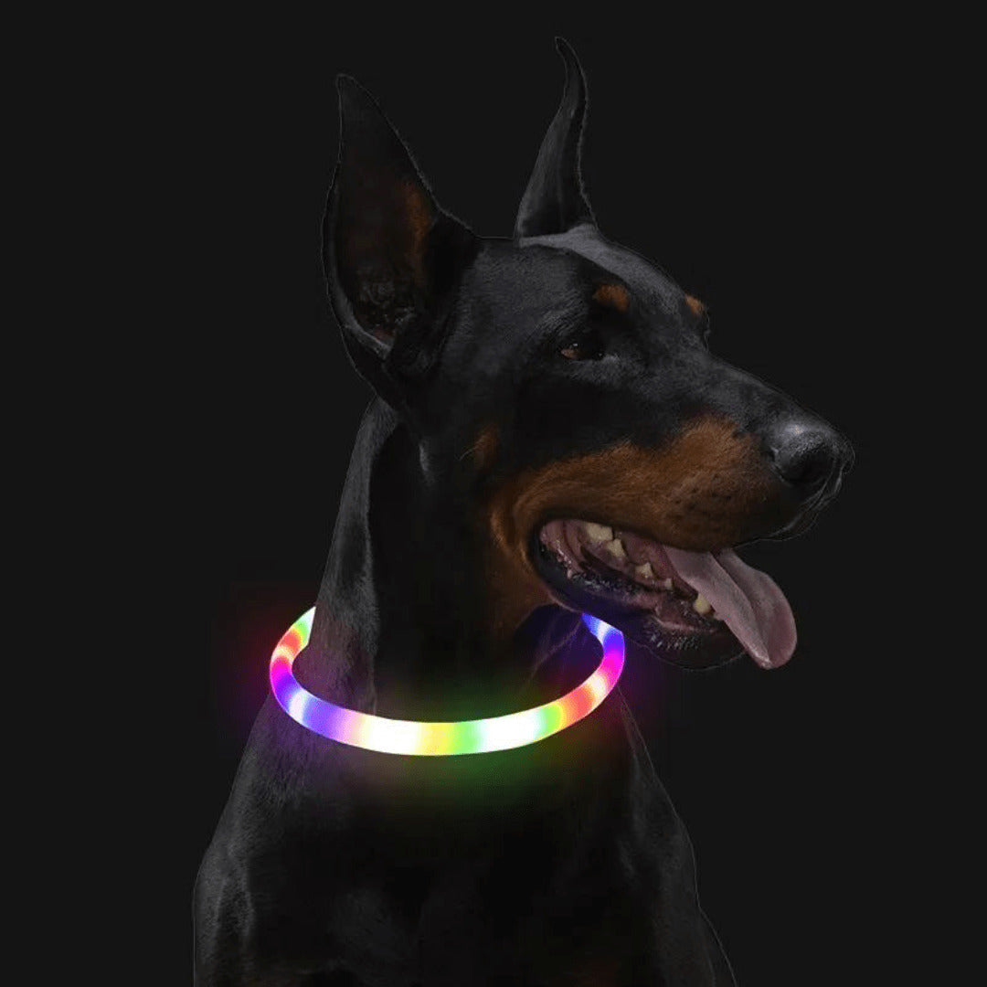 LED Dog Collar Safe Visible Light Up Pet Collar for Night Walks