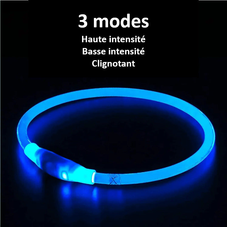 LED Dog Collar Safe Visible Light Up Pet Collar for Night Walks