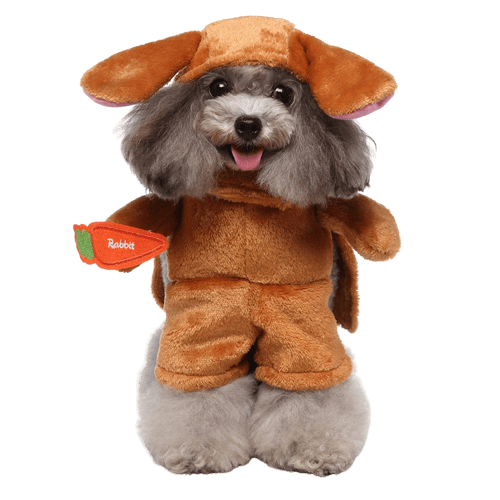 Pet Costume for Cats and Dogs Bunny Rabbit Outfit
