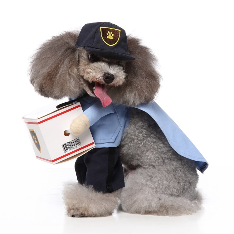 Delivery Driver Costume for Cat and Dog Pet Outfit