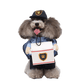 Delivery Driver Costume for Cat and Dog Pet Outfit
