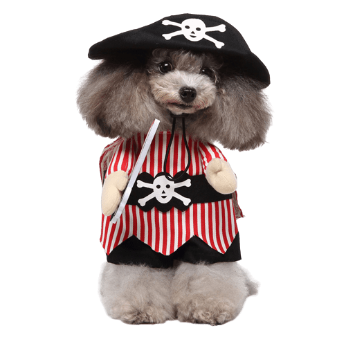 Pet Costume for Cats and Dogs Pirate Dress Up