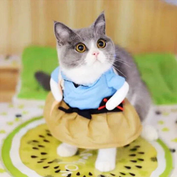 Samurai Costume for Cats and Dogs Pet Halloween Outfit