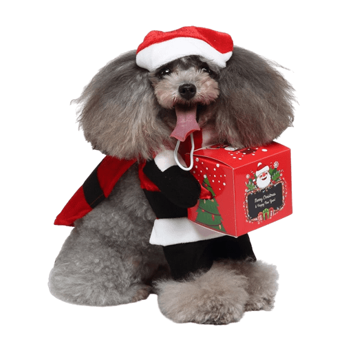 Santa Claus Costume for Cats and Dogs Pet Holiday Outfit