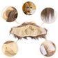 Cat Costume Lion Mane Wig Pet Halloween Outfit for Cats