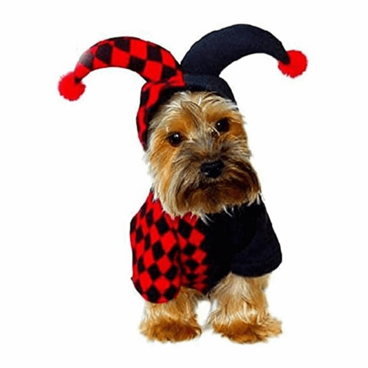 Crazy Costume for Cats and Dogs Fun Pet Outfit