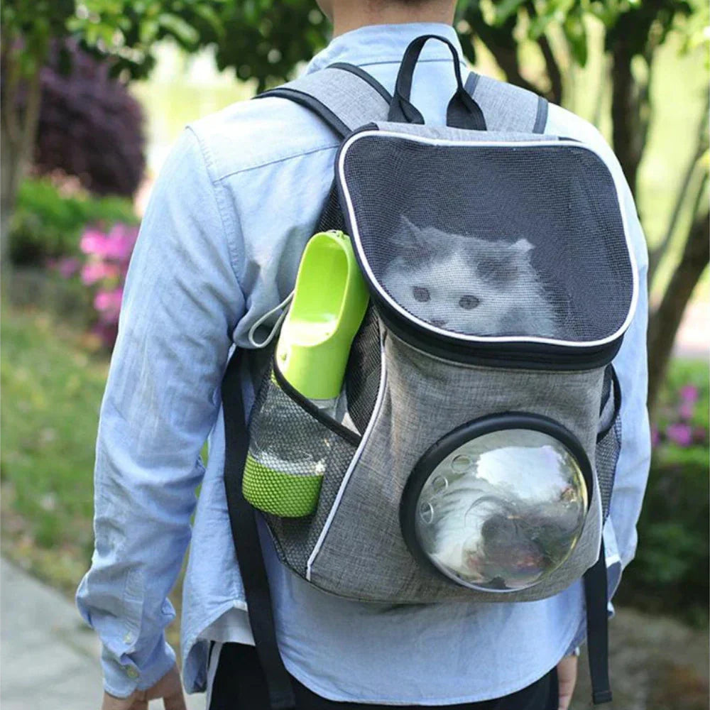 Cat Water Bottle Reusable Portable Pet Travel Bottle