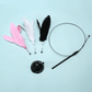 Cat Fishing Rod Toy with Suction Cup for Interactive Play