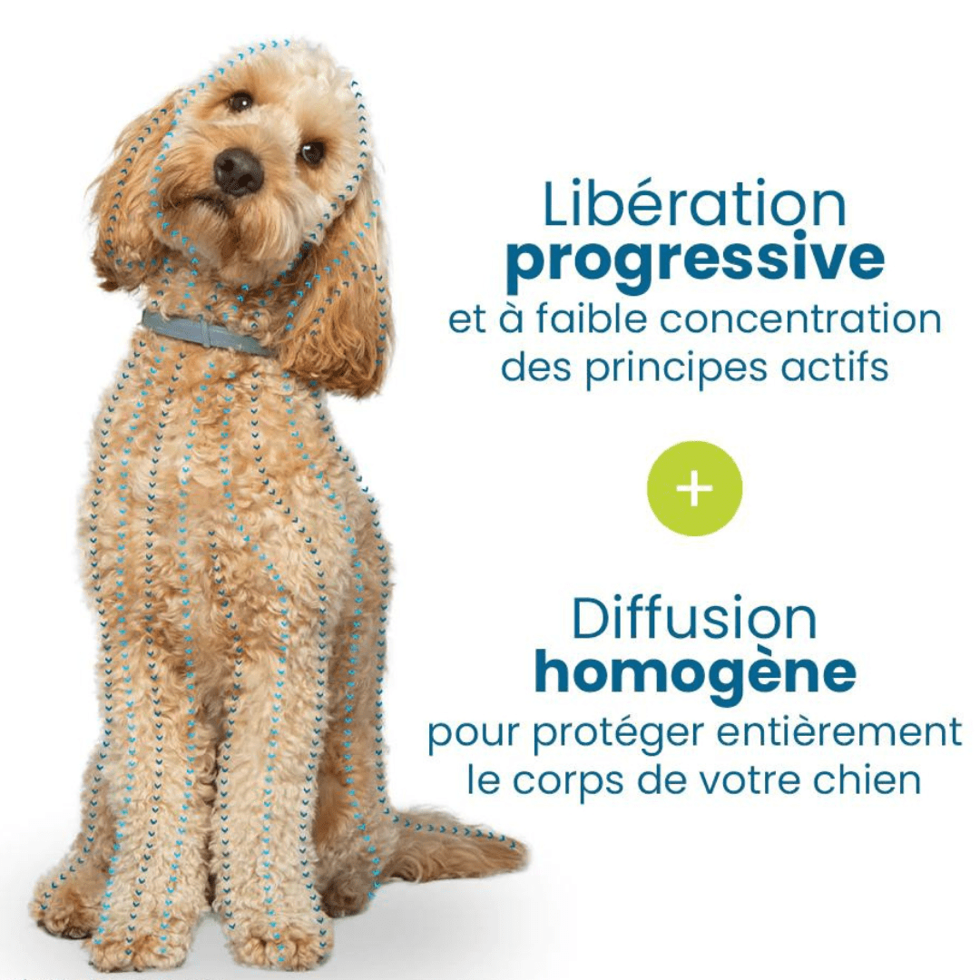 Natural Flea and Tick Collar for Dogs and Cats Pest Protection