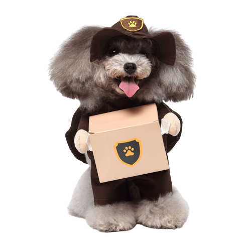 Pet Costume for Cats and Dogs Delivery Driver Outfit