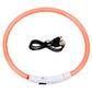 LED Dog Collar Safe Visible Light Up Pet Collar for Night Walks