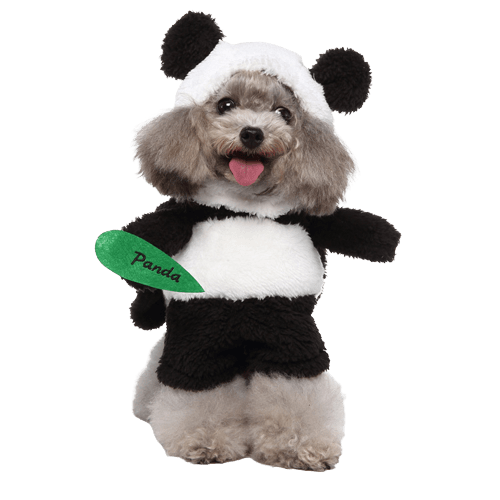 Pet Costume for Cats and Dogs Panda Outfit