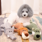 Ribbed Plush Sound Toy for Babies and Toddlers Soft Sensory Crinkle Toy