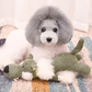 Ribbed Plush Sound Toy for Babies and Toddlers Soft Sensory Crinkle Toy