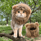 Cat Costume Lion Mane Wig Pet Halloween Outfit for Cats