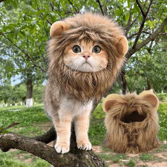 Cat Costume Lion Mane Wig Pet Halloween Outfit for Cats
