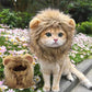 Cat Costume Lion Mane Wig Pet Halloween Outfit for Cats