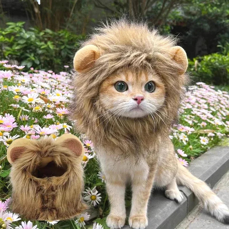 Cat Costume Lion Mane Wig Pet Halloween Outfit for Cats