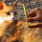 Plastic Tick Remover Tool for Dogs and Cats Pet Flea Tick Removal Device