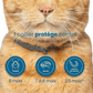 Natural Flea and Tick Collar for Dogs and Cats Pest Protection