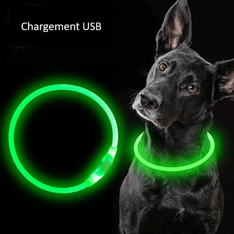 LED Dog Collar Safe Visible Light Up Pet Collar for Night Walks